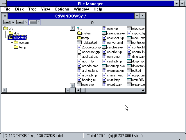 Windows 3.1 File Manager