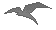 Bird 1