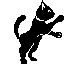 Black Cat