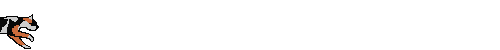 Cat Run 2