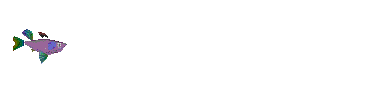 Fish 2