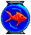 Fish Bowl