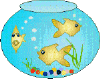 Fish Bowl 2