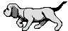 Gray Dog