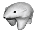 Ice Bear