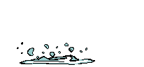 Jumping Fish