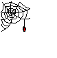 Web