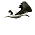 White Bird