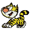 A Cat D2