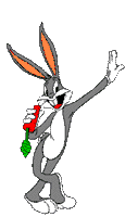 Bouncing Bunny