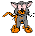 Coby Cat B