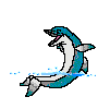 Dolphin 2