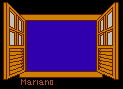 Window