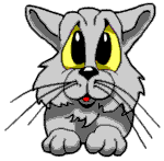 Kitty 1