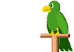 Parrot
