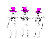 Skeleton