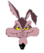 Wil Face A