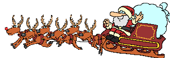 Reindeer