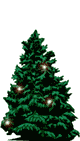 Tree X3